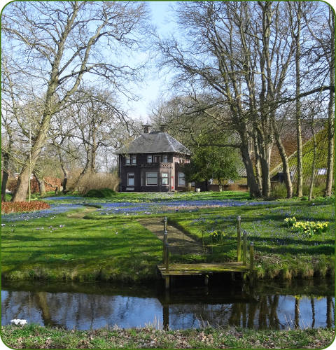 Boerderij met voorjaarsbloemen in Rasquert, Groningen