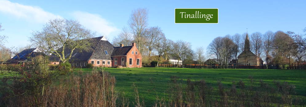Het dorpje Tinallinge op het Hogeland van Groningen
