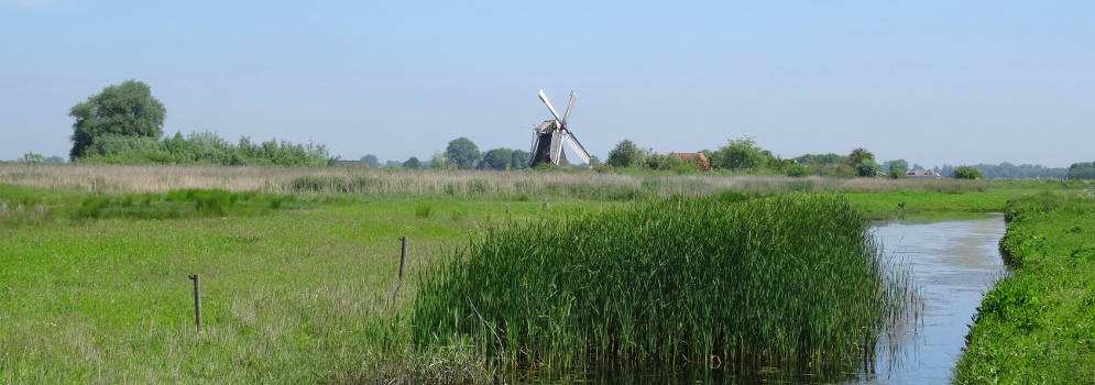 De Noordermolen in natuurgebied Kardinge, Groningen